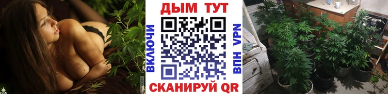 Конопля Amnesia  Ясногорск 